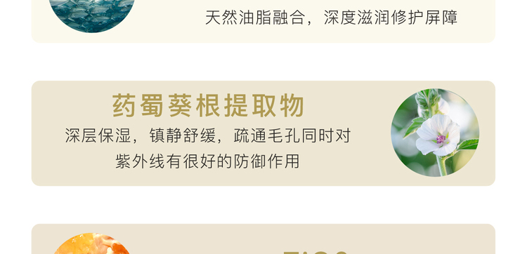 日本ELEGANCE 雅莉格絲控油定妝歡顏蜜粉餅 E大餅 #6號 透亮美肌 便攜裝 8.8g